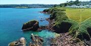 Oyster Cove, Paignton, Devon