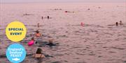 Sea Swim and Seafood, Cantina, England's Seafood FEAST, Paignton, Devon