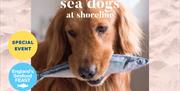Sea Dogs at Shoreline, England's Seafood FEAST