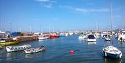 Paignton Harbour close to Rosemead Guest House, Paignton, Devon