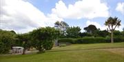 Garden, Protea Cottage, Torquay, Devon