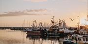 Brixham Fish Market Tours - England's Seafood Feast