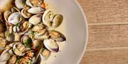Mussels at at ROAM, Sandridge Barton