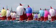 Squib Fleet, Torquay, Devon