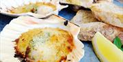 Saltwater Fish Restaurant and Takeaway, Torquay, Devon