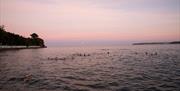 Sea Swim and Seafood, Cantina, England's Seafood FEAST, Paignton, Devon