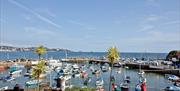 Overlooking Paignton's picturesque harbour