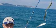 Mackerel Fishing, Seaspray Fishing Trip, departs Brixham, Devon