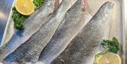 Fresh fish cooked for Shoals on the Lido – England’s Seafood Feast Special