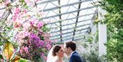 Wedding, Palm House, Torre Abbey, Devon