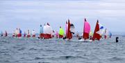 Squib National Championship, Torquay, Devon