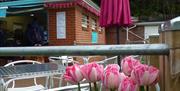 Outdoor seating, Stoodley Meadow Cafe, Illsham Road, Torquay, Devon