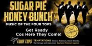 Sugar Pie Honey Bunch – Music of the Four Tops, Babbacombe Theatre