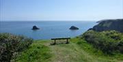 Berry Head Nature Reserve, Brixham, Devon