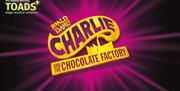 4TOADS presents Charlie and the Chocolate Factory, Princess Theatre, Torquay