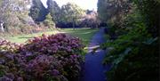 Tessier Gardens, Torquay, Devon