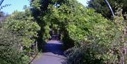 Tessier Gardens, Torquay, Devon