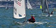 Torbay Dinghy Regatta, Torbay Royal Yacht Club, Torquay