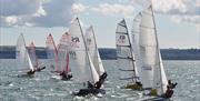 Torbay Dinghy Regatta, Torbay Royal Yacht Club, Torquay