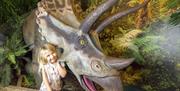Torquay's Dinosaur World, Torquay, Devon