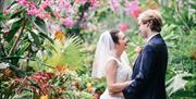 Wedding, Palm House, Torre Abbey, Devon