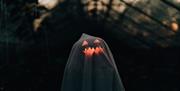 Halloween, Torre Abbey, Torquay