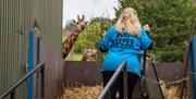 Zoo Keeper for a Day Experience at Paignton Zoo