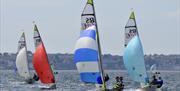 Torbay Dinghy Regatta, Torquay, Devon