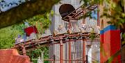 family rollercoaster at crealy theme park