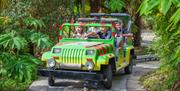 children enjoying a safari themed ride in a green car