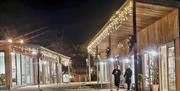 sae Change Studios Festive lights
