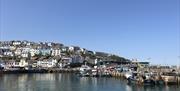 Brixham Holiday Park Dog Friendly in Brixham, Devon