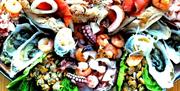 images of fresh seafood and interior shots of the restaurant