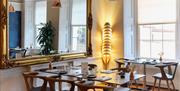 Interior of The Elephant restaurant in daylight. England's Seafood FEAST at The Elephant, Torquay, Devon