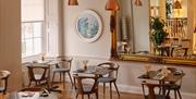 Interior of The Elephant restaurant in daylight. England's Seafood FEAST at The Elephant, Torquay, Devon