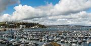 View from Harbour Lights Apartments, Brixham, Devon