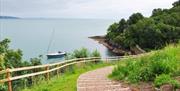 The path to Fishcombe Bay, Brixham, Devon