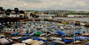 Paignton Harbour, a short walk from Outlook Holiday Flats, Paignton, Devon
