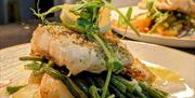 images of food and the garden