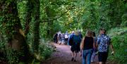 en-route to the Lakes via Manscombe Woods