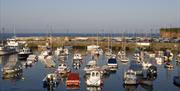 Paignton Harbour