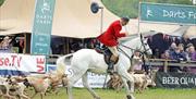 Newton Abbot Country Show