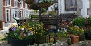 Outside seating, Ashleigh House, 61 Meadfoot Lane, Torquay, Devon