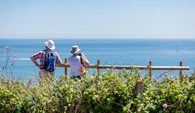 Stunning views from Landscove, Brixham, Devon