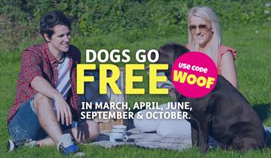 Dogs Stay Free