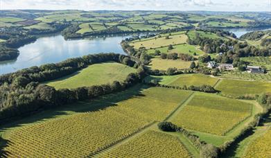 Landscape view of Sandridge Barton, Stoke Gabriel, Nr Totnes, Devon