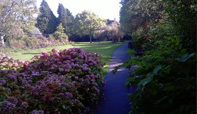 Tessier Gardens, Torquay, Devon