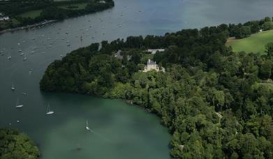 Greenway on the River Dart