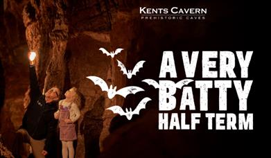 A (very) Batty Half-Term, Kents Cavern
