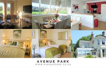 Avenue Park Villa. Spacious Lounge and Kitchen Diner overlooking the park. Torquay, Devon
